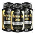 Melena de León Fito Vit x3 und